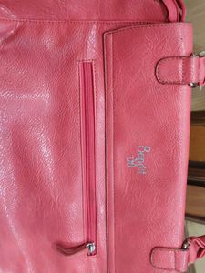 Baggit Bag