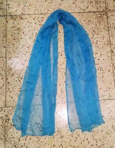 Elegant Turquoise Dupatta