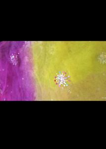 Sparkly Black Dupatta combo pack