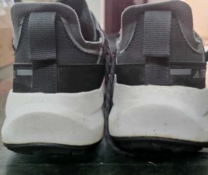 Adidas Terrex Trekking Shoes