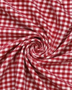 Stylish check fitted shirt for women