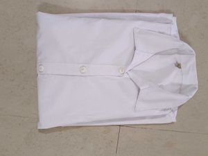 Classic White Collared Shirt