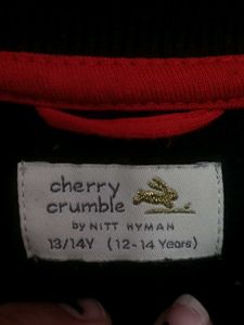 CHERRY CRUMBLE NASA US Sweatshirt