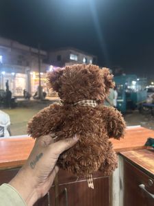 Cute Brown Teddy Bear