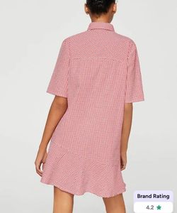 Red Gingham Mini Dress