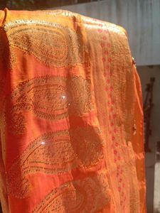 Vibrant Orange Paisley Embellished Saree stone wor