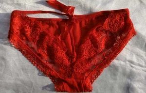 Lace Red Briefs