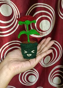 Crochet Smiley Rose Pot