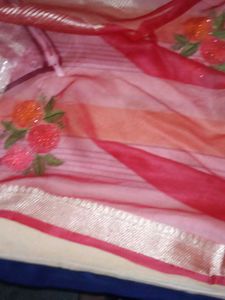 Beautiful Embroidered Saree