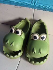Cute Green Crocodile clogs