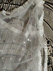 Elegant silver Sequin Dupatta