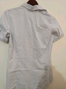 imported Striped Short Sleeve Shirt