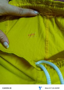 Yellow Legi