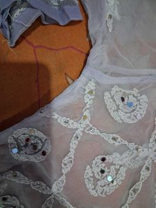 Elegant  Chikankari Kurta