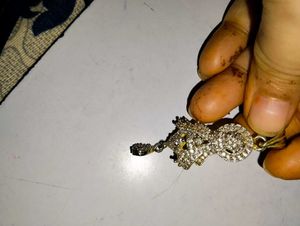 Sparkling Pendant with Diamonds