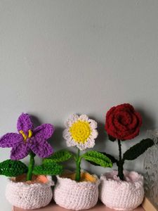Flower Pots Set
