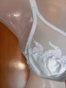 Ethereal Blue Embroidered Sheer Bra