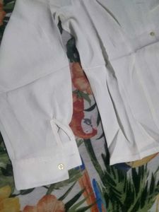 Elegant Cream Blouse