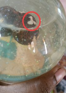 Musical Snow Globe