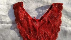 Sheer Lace Red Briefs