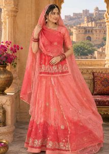 beautiful rajputi poshak