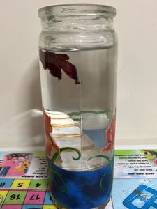 Printed Oval Tank For Fighter Fish