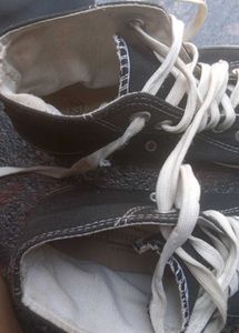 Classic sea star Black High-Top Sneakers