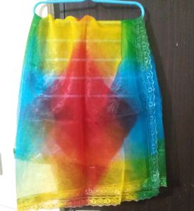 Multicolor Organza Duppatta..Combo