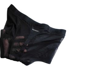 Sheer Mesh Boxer Briefs