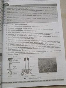 NEET &amp; AIIMS BOTANY Study Package-1