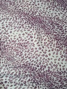 Stylish Leopard Print Scarf/Stole
