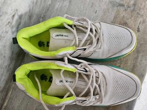 DSC Cricket Shoes
