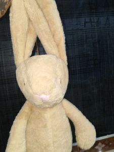 jellycat bashful bunny 🐇