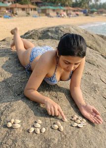 Natural Cowrie Shells for Jewelry Making