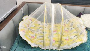 Baby Mosquito Net Bed