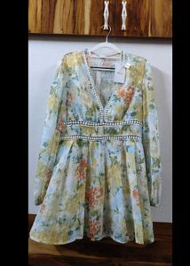 Floral Sheer Long Sleeve Mini Dress