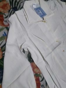 Elegant Cream Blouse