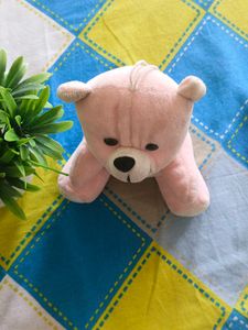 Pink Teddy Bear Small | For Kids