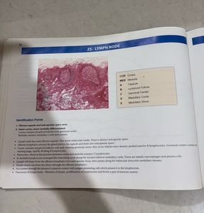 Histology Practical Manual 4th Edition