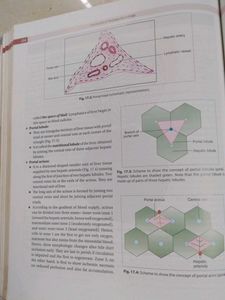 Inderbir Singh's Textbook of Human Histology