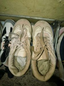 Tan Casual Sneakers