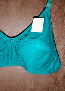 BRAND NEW BRA(36)
