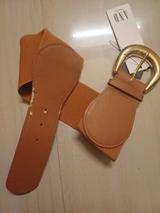 Elastic Belt with Gold Buckle