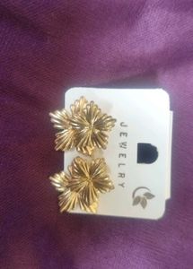 Elegant Dangle Earrings