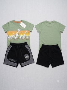Kids Dinosaur Skater T-Shirt & Shorts Set