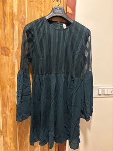 Elegant Lace Sleeve A-line Dress