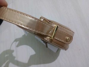 Chic Metallic mini hand bag