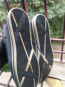 Us Polo Assn. Lofer Casual Shoes