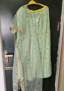Mint Green Lehenga Choli with Gold Embellishments
