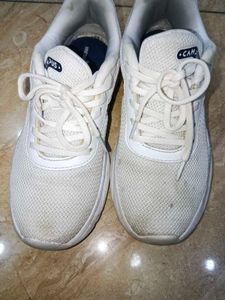 Campus White Shoes